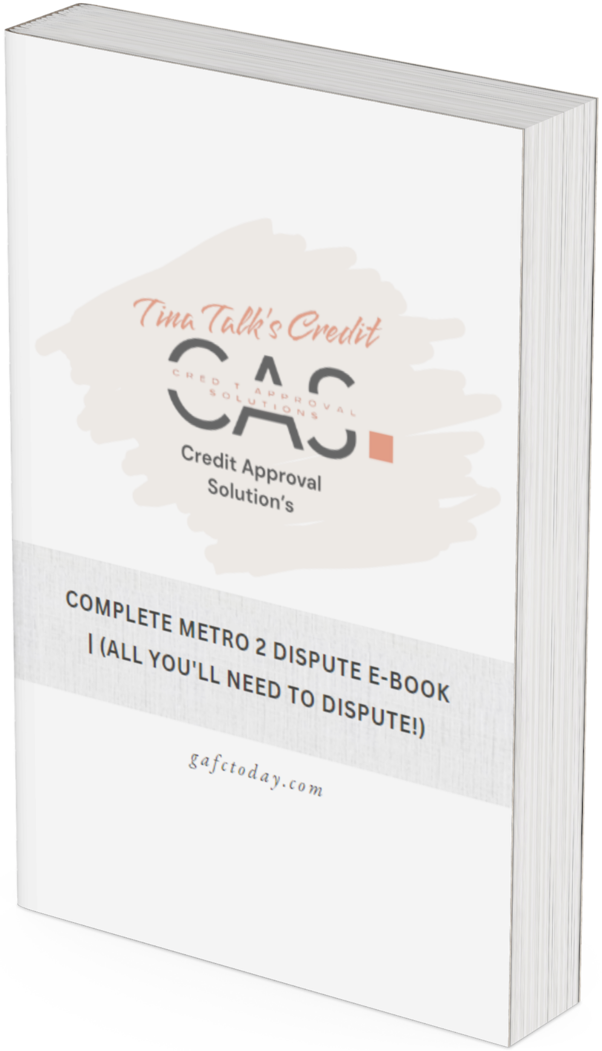 Complete Credit Dispute eBook / w Metro 2 Letters